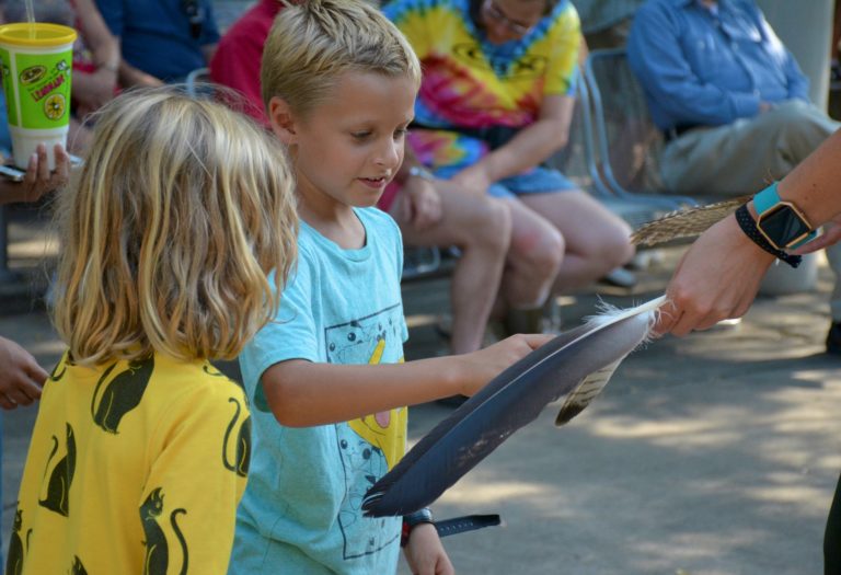 The Birds of Patoka Lake – INRF